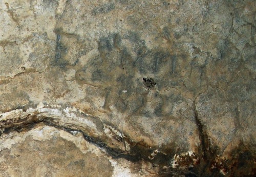 2006-03-18 Dutchess Quarry Cave detail. DSC02750.jpg